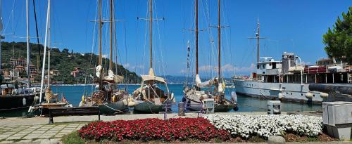 A Ridosso sul mare nel cuore del paese — 4-Star Luxury Hotel in Le Grazie, Italy