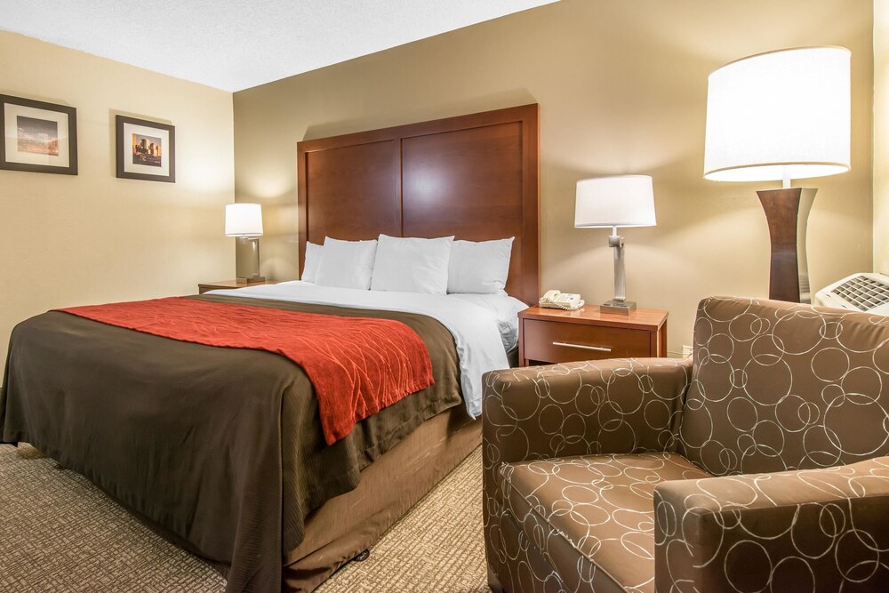 Comfort Inn & Suites Denver Northfield - photo 12