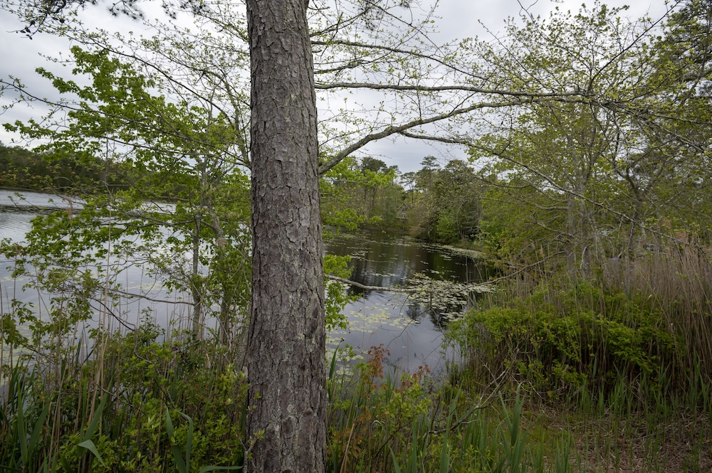 Swan Lake Resort Rentals - photo 216