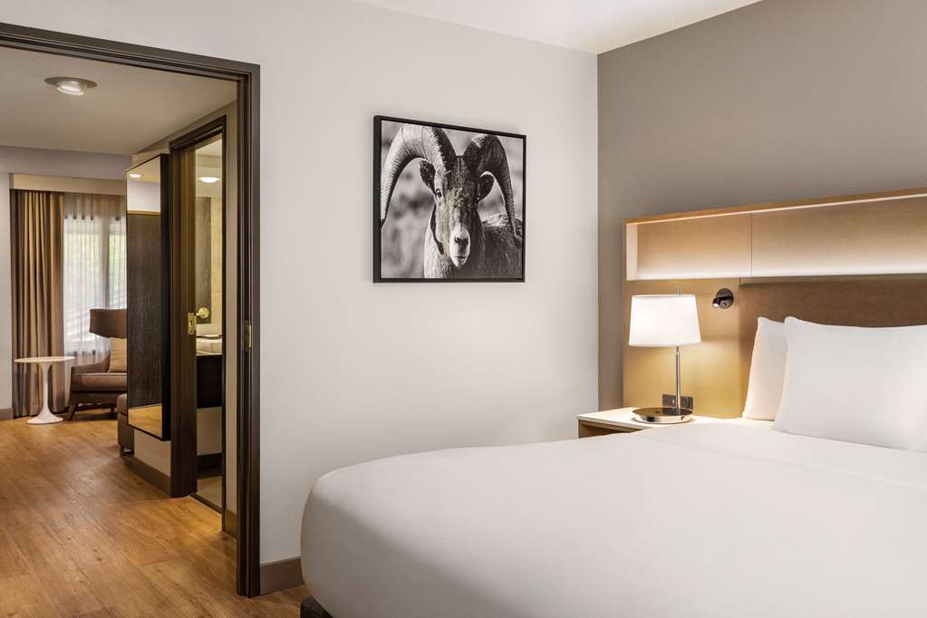 Radisson Hotel Colorado Springs Airport - photo 12