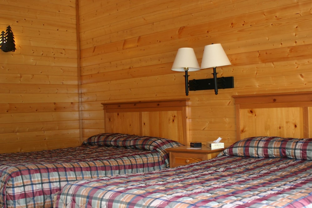 Denali Grizzly Bear Resort - photo 23