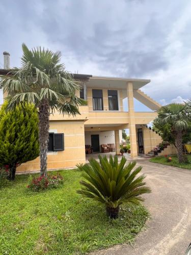 Feriz Vukaj in Unknown City, Albania