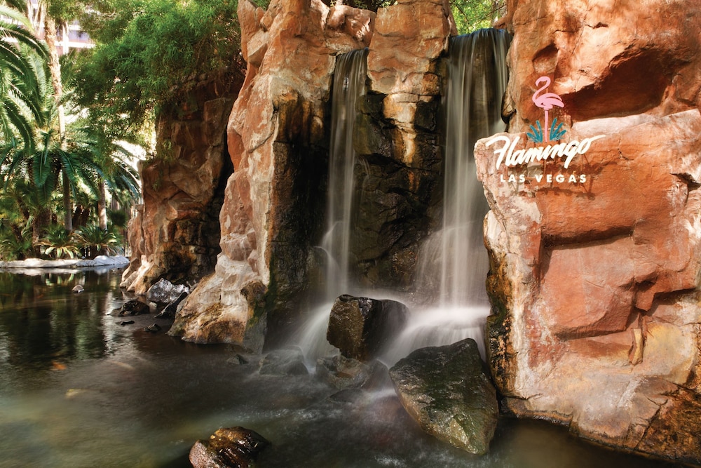 Flamingo Las Vegas Hotel & Casino - photo 141