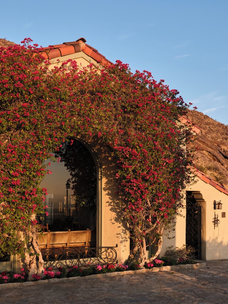 The Willows Palm Springs - photo 98