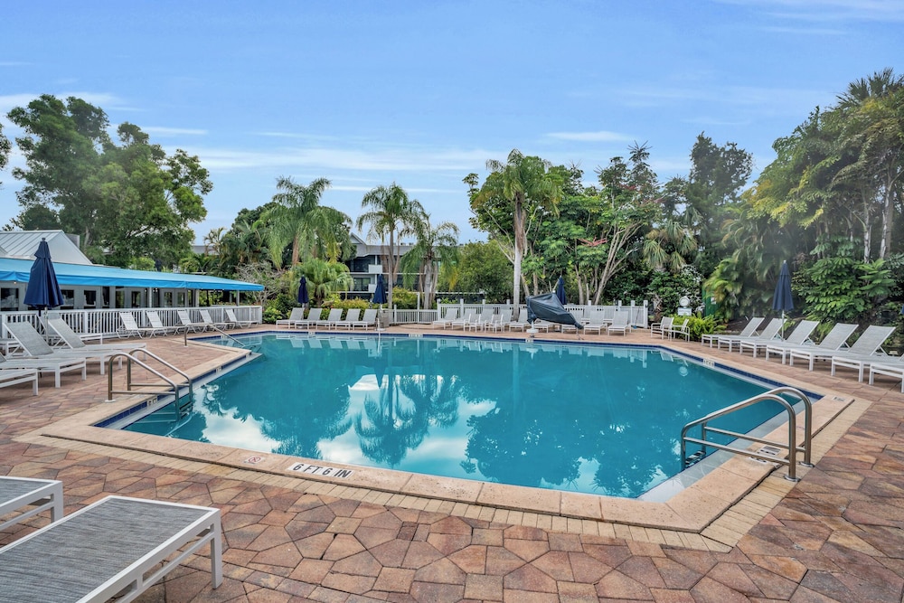 Park Shore Resort - photo 44