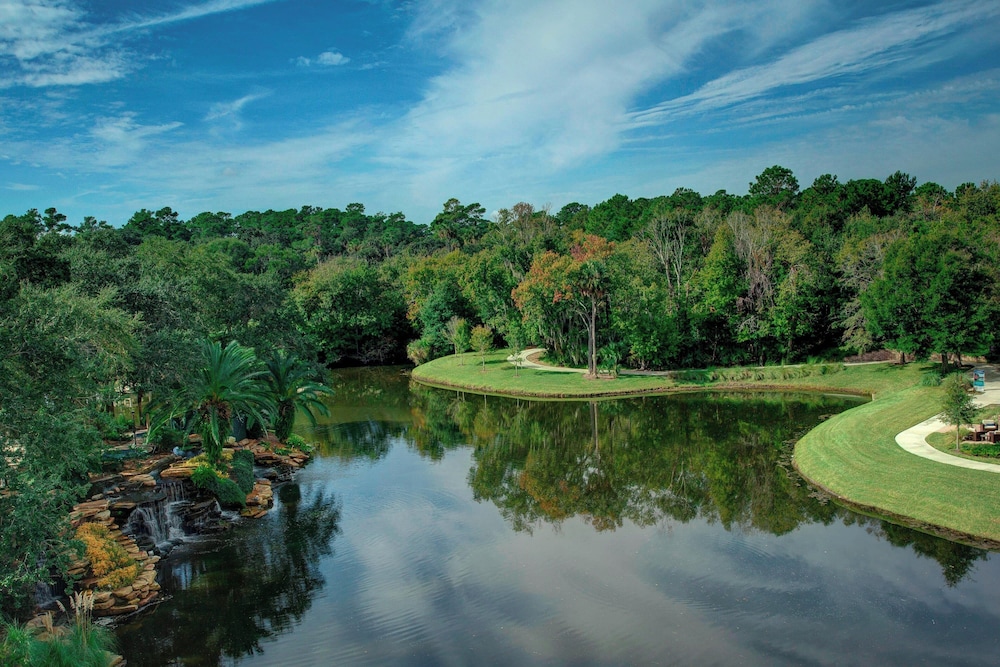 Sawgrass Marriott Golf Resort & Spa - photo 42