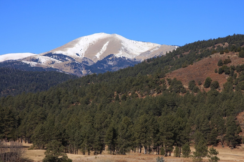 Ruidoso Pines - photo 30