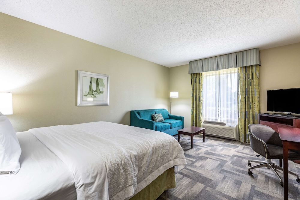 Hampton Inn & Suites Orlando South Lake Buena Vista - photo 18