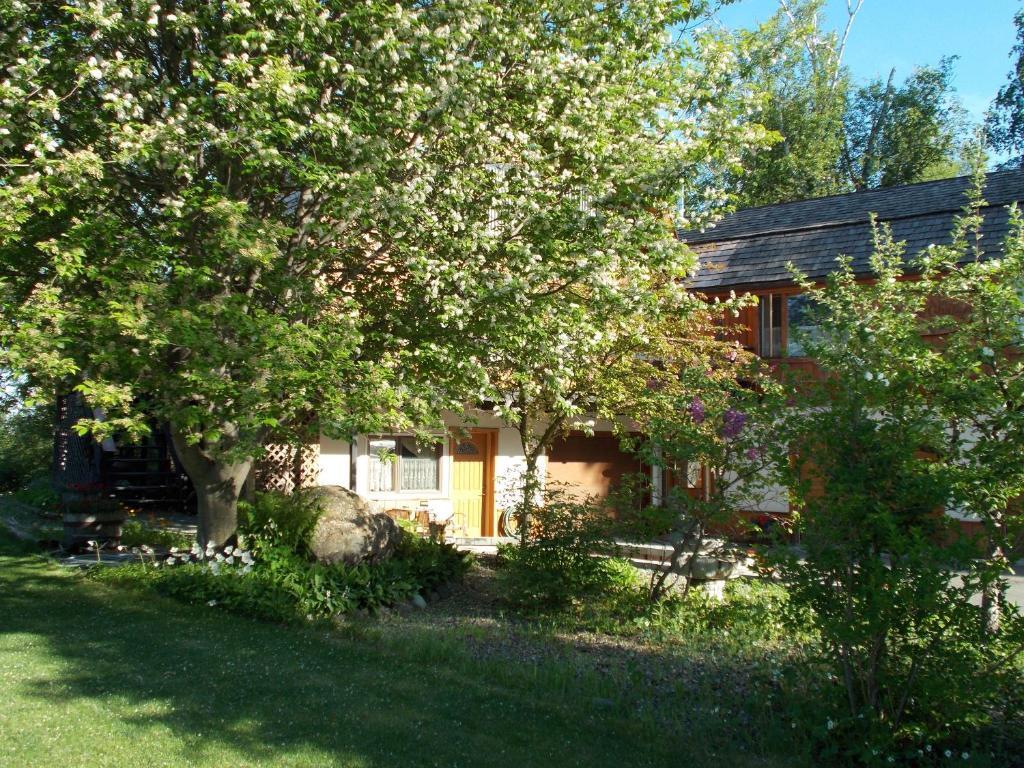 Alaska Chalet Bed & Breakfast - photo 10