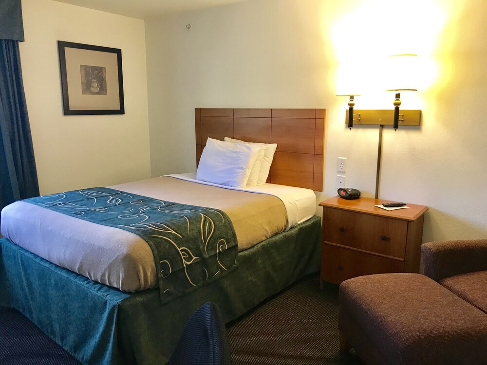 Oak Tree Inn - photo 11