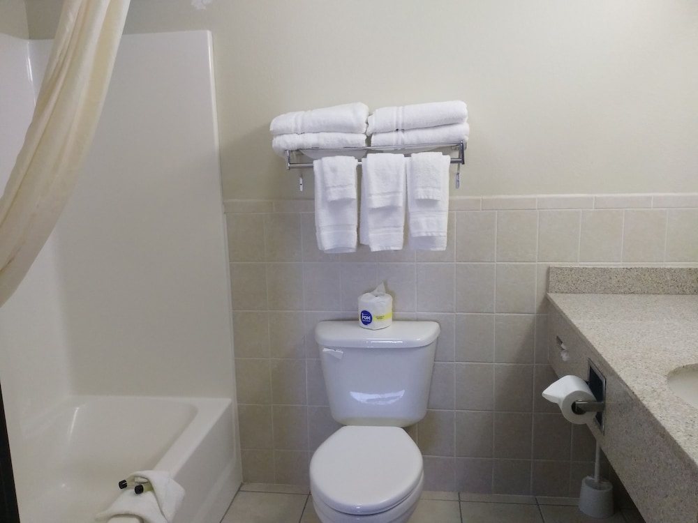 Madelia Hotel & Suites - photo 49