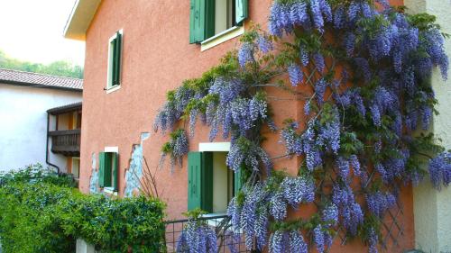 La Nicchia — Tarzo — photo 2