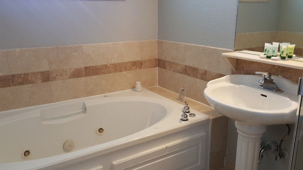 Lake Ridge Hotel - photo 51