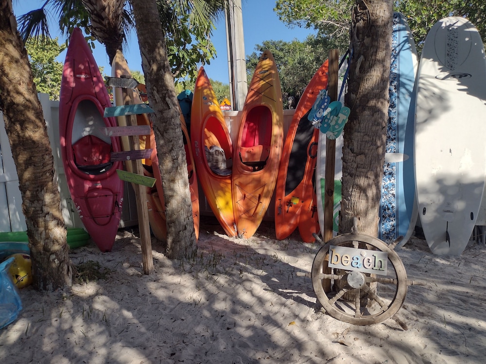 Bayfront Beauty - photo 17