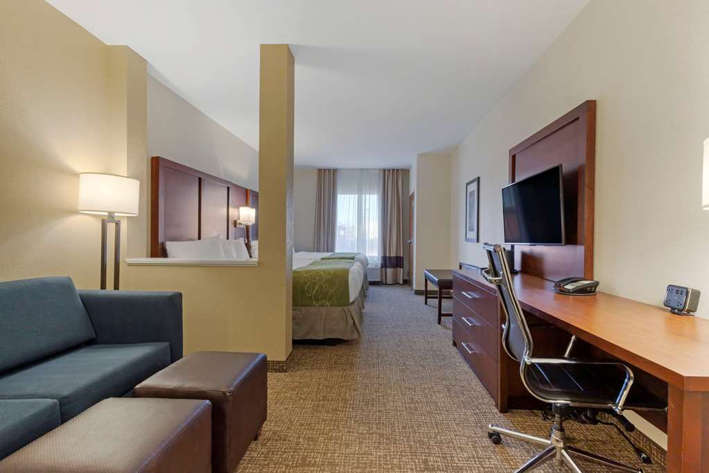 Comfort Suites Piedmont Greenville South - photo 32