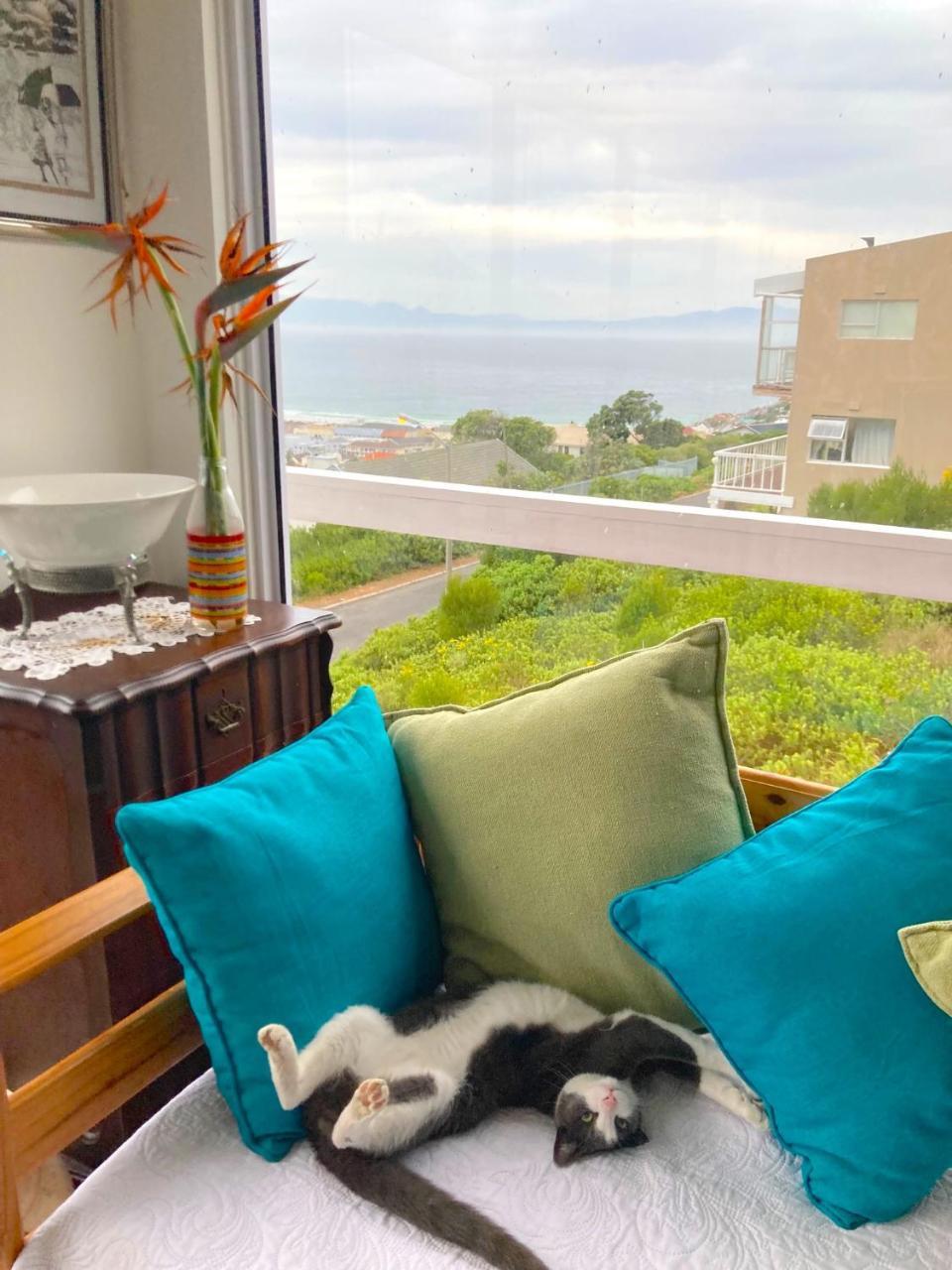 Two Oceans Artist’s Home.