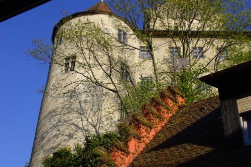 Hotel Aurichs in Meersburg, Germany