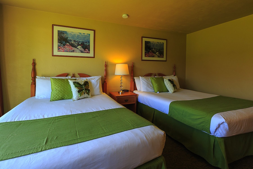 Der Ritterhof Inn - photo 8