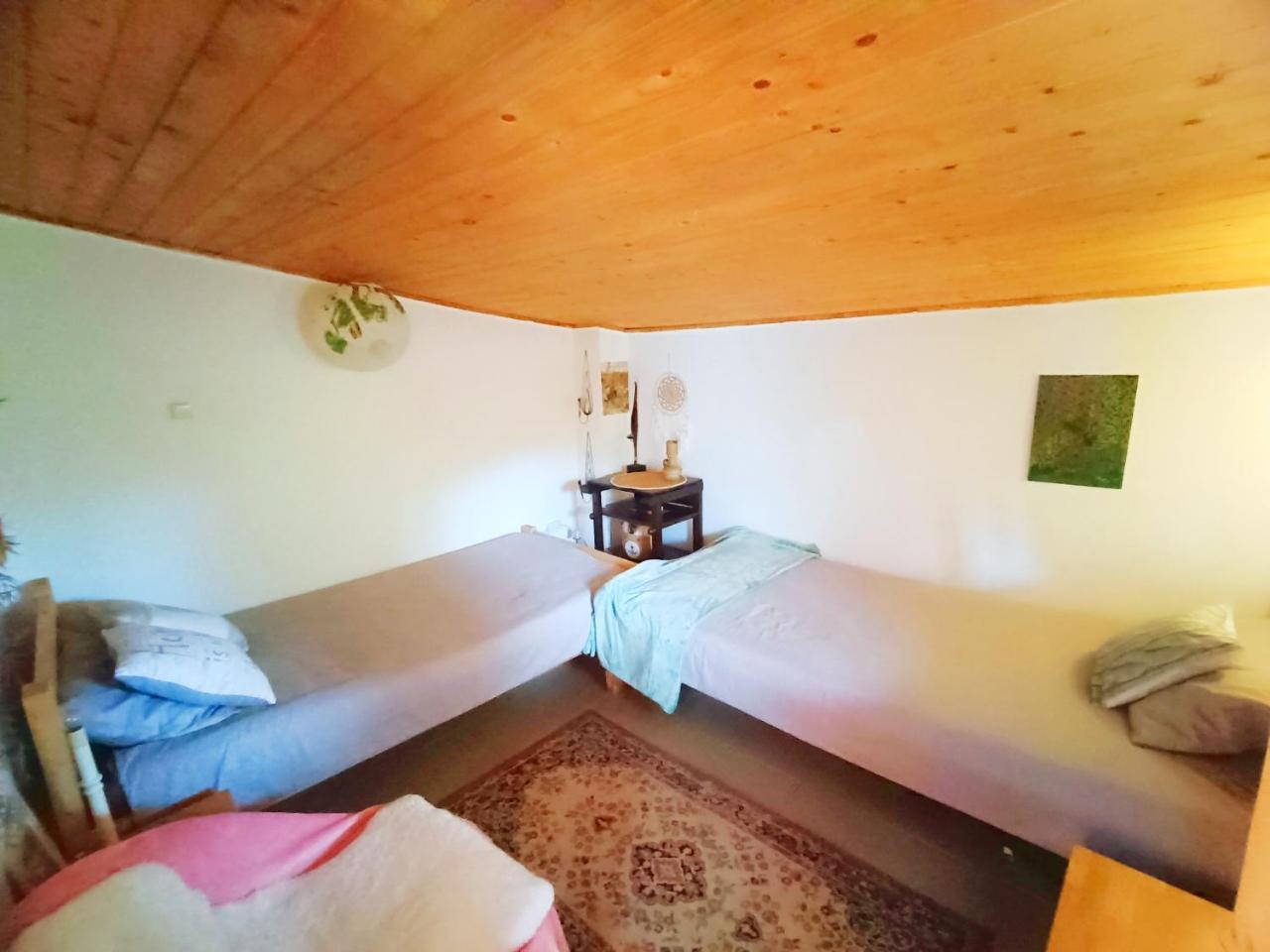 Cabana Din Padure — Poiana Vadului — photo 3