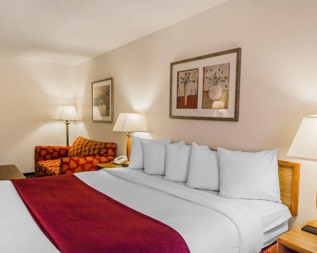 Quality Inn & Suites Golden Denver West - photo 19