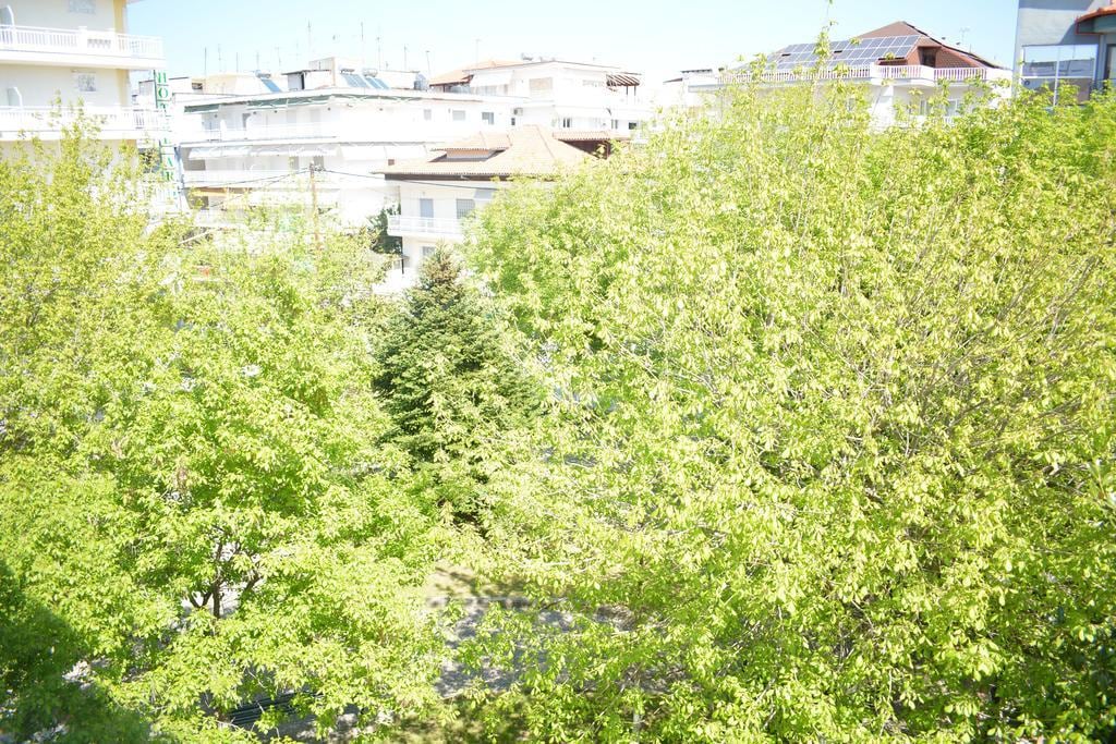 Achillion — Paralia — photo 4