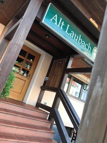 Hotel Alt Laubach — hotel in Laubach