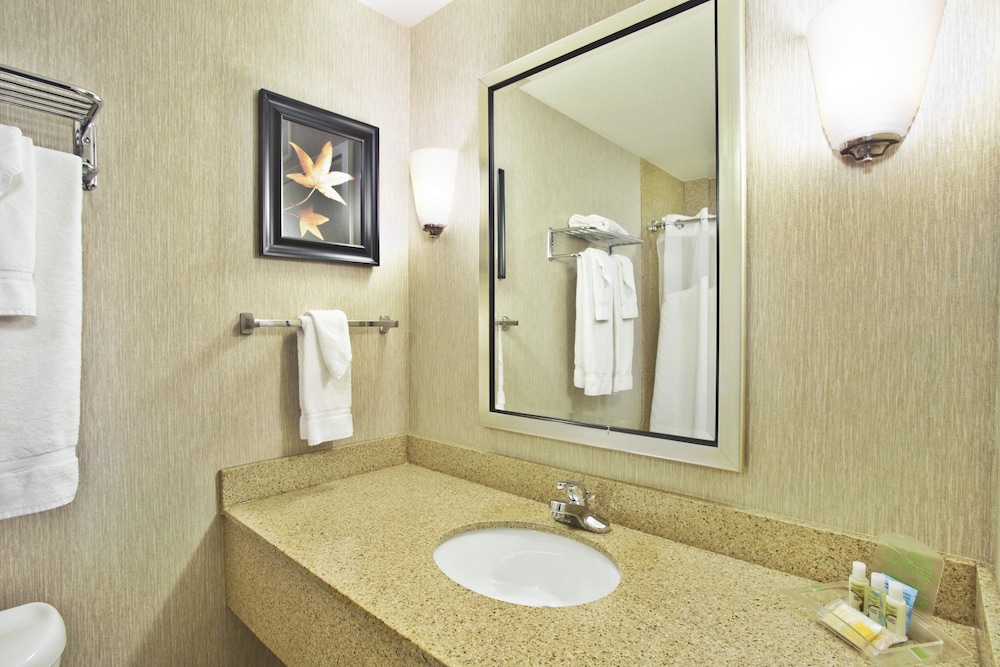 Holiday Inn & Suites Green Bay Stadium by IHG - photo 19