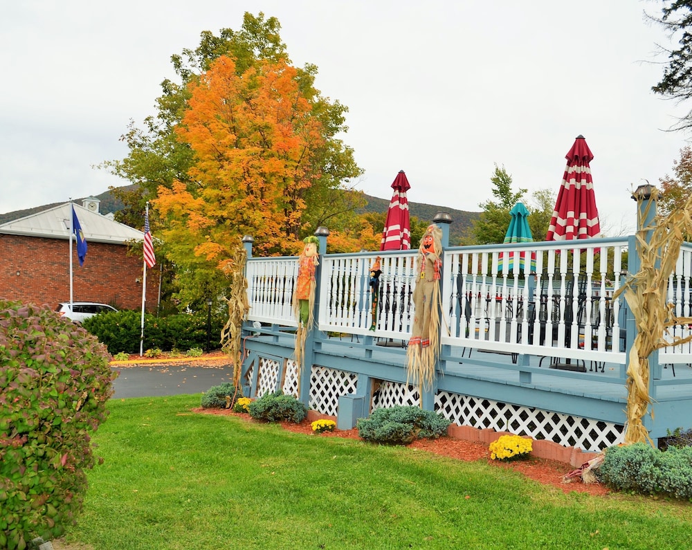 Williamstown Motel - photo 49