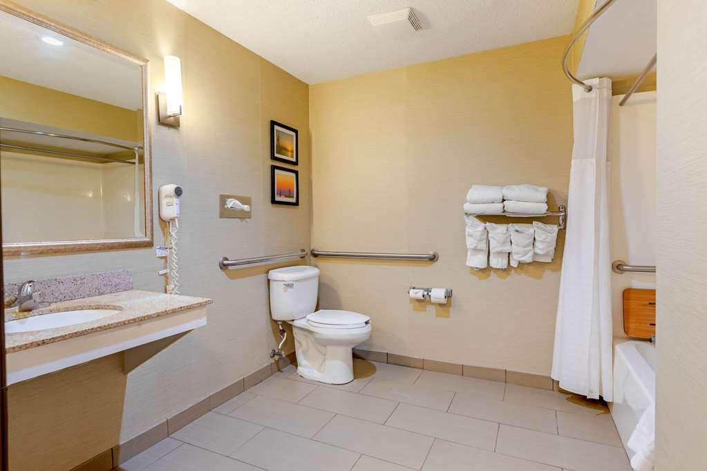 Comfort Suites South Haven near I 96 - photo 19