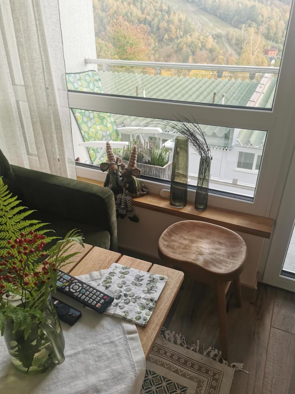 Hearth Hill View Apartment — Ustron — photo 3