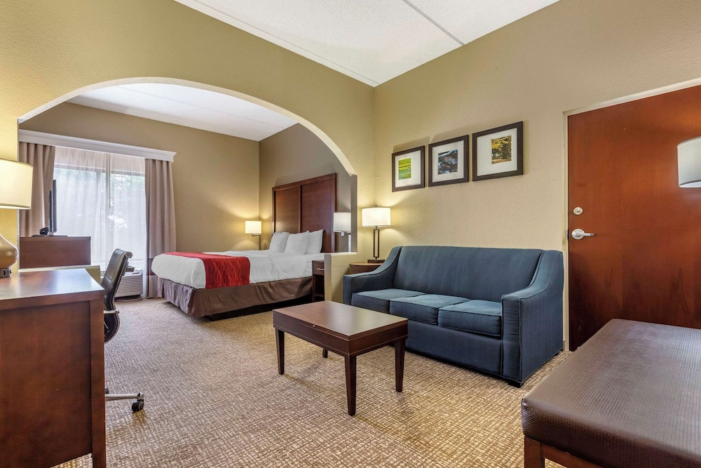 Comfort Inn & Suites Mocksville I 40 - photo 26
