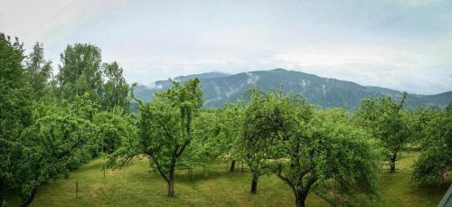 Kremena in Vorokhta, Ukraine