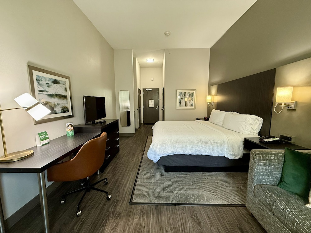 Holiday Inn Carlsbad by IHG - photo 11
