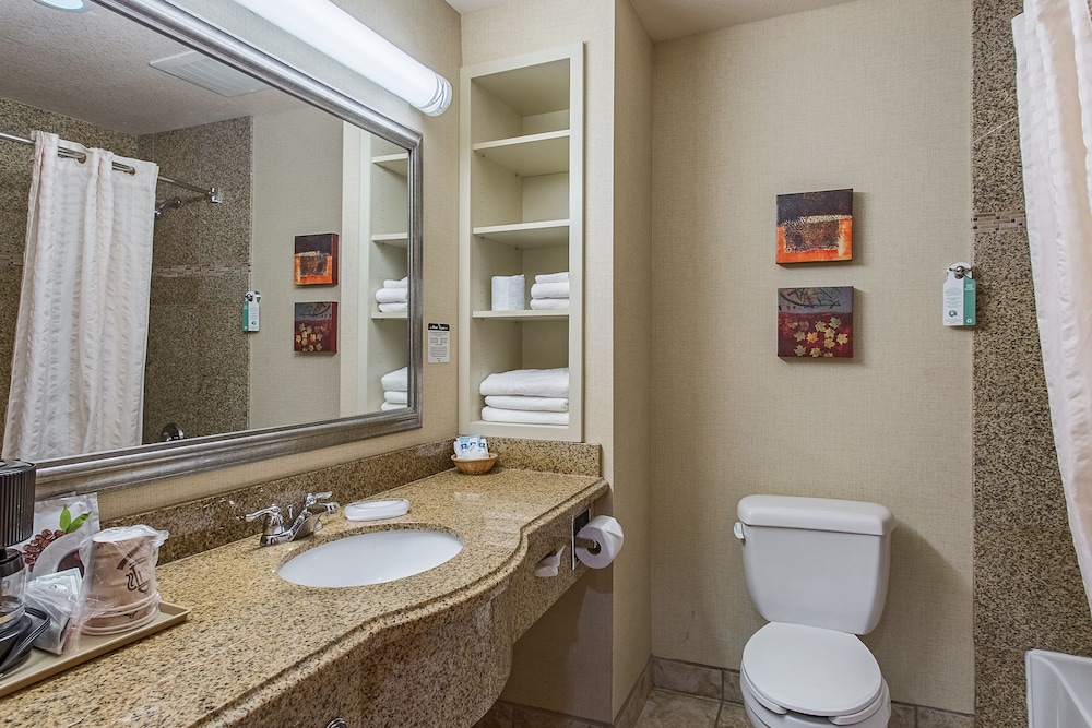 Hotel Ruidoso Midtown - photo 50