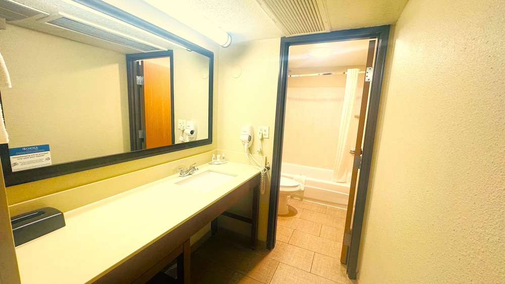 Comfort Inn Salt Lake City Downtown - photo 49