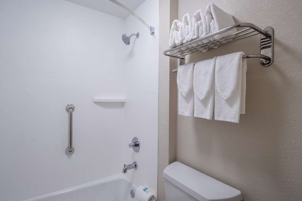 Econo Lodge Inn & Suites Foley North Gulf Shores - photo 27