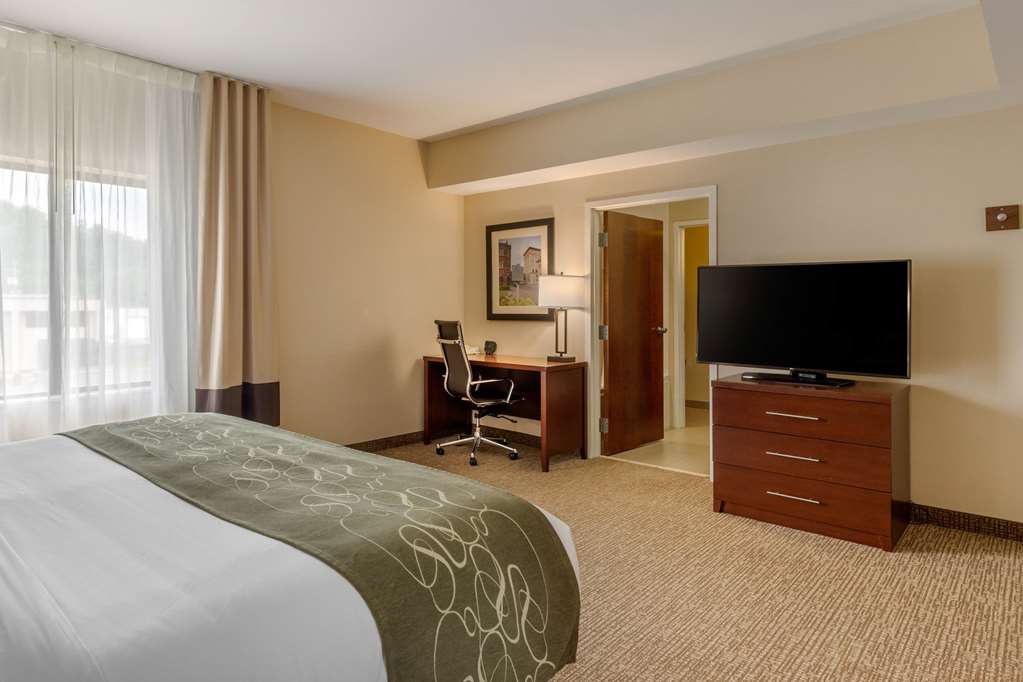 Comfort Suites Johnson City near University - photo 17