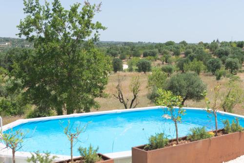 Trullo Stella with exclusive pool - last minute hotel in Ostuni
