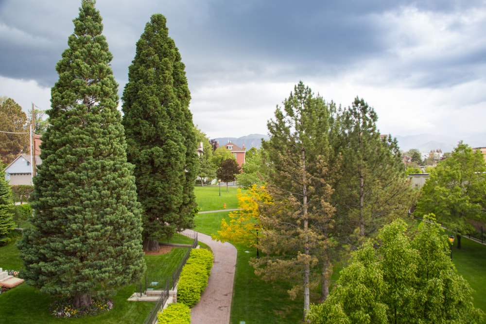 The Kimball at Temple Square - photo 86