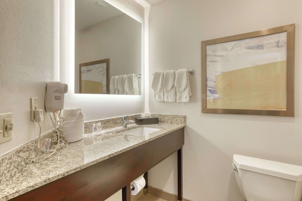 Comfort Suites Milwaukee Airport - photo 32
