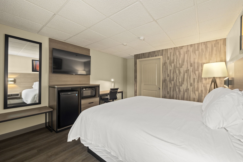 The Elmwood - photo 6
