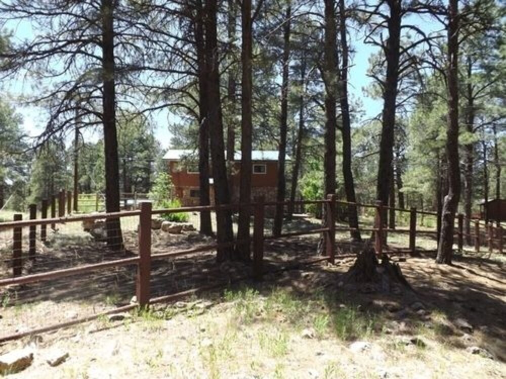Arizona Mountain Inn and Cabins - photo 312