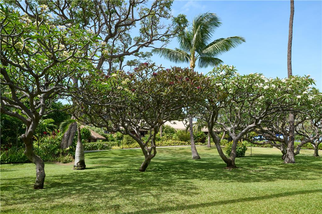 Outrigger Kaanapali Beach Resort - photo 92