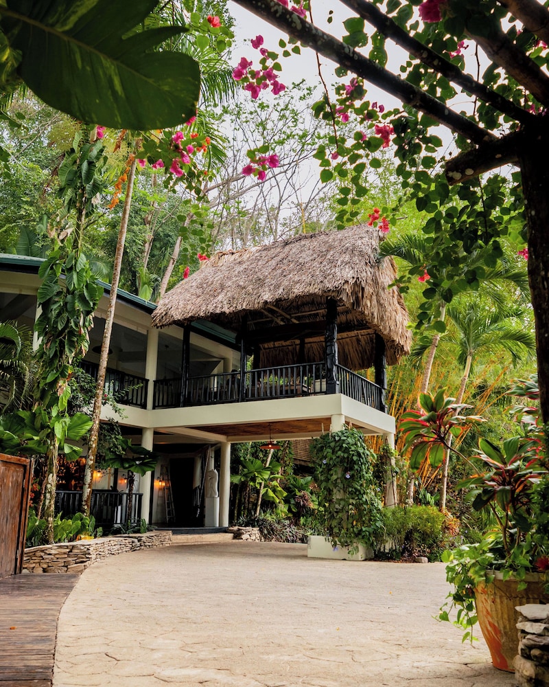 Copal Tree Lodge a Muy’Ono Resort — Punta Gorda — photo 3
