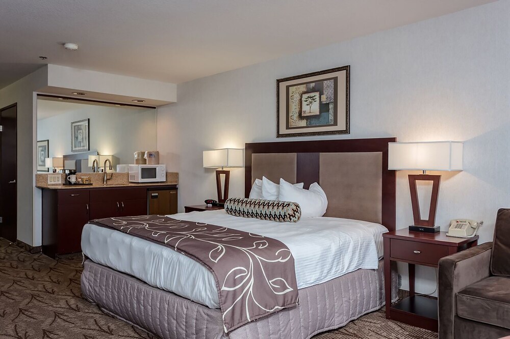 Shilo Inns Idaho Falls - photo 13