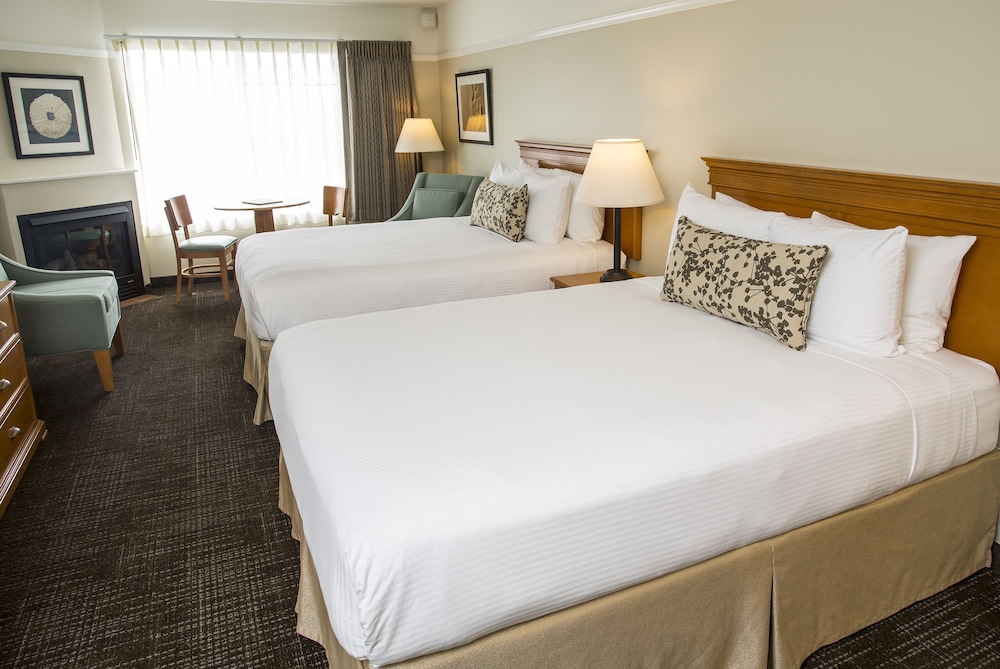 Looking Glass Inn - photo 4