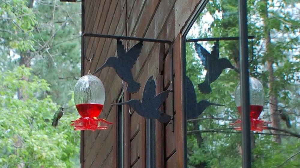 Upper Canyon Inn & Cabins - photo 156