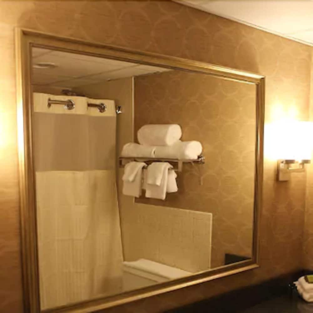 Decatur Conference Center & Hotel - photo 18