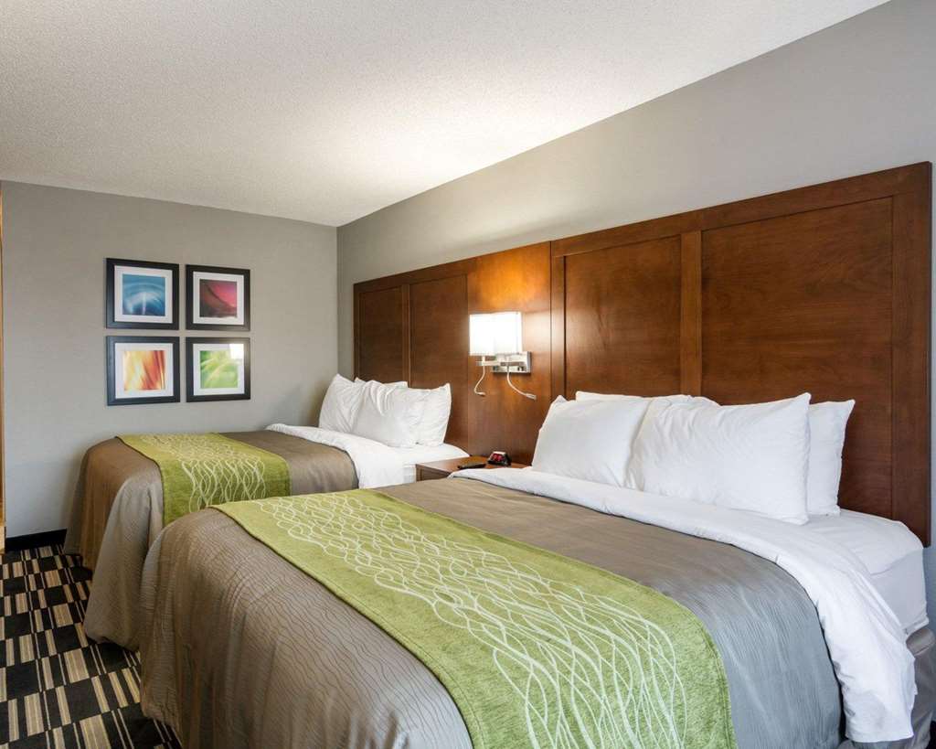 Quality Inn & Suites Ashland near Kings Dominion - photo 11