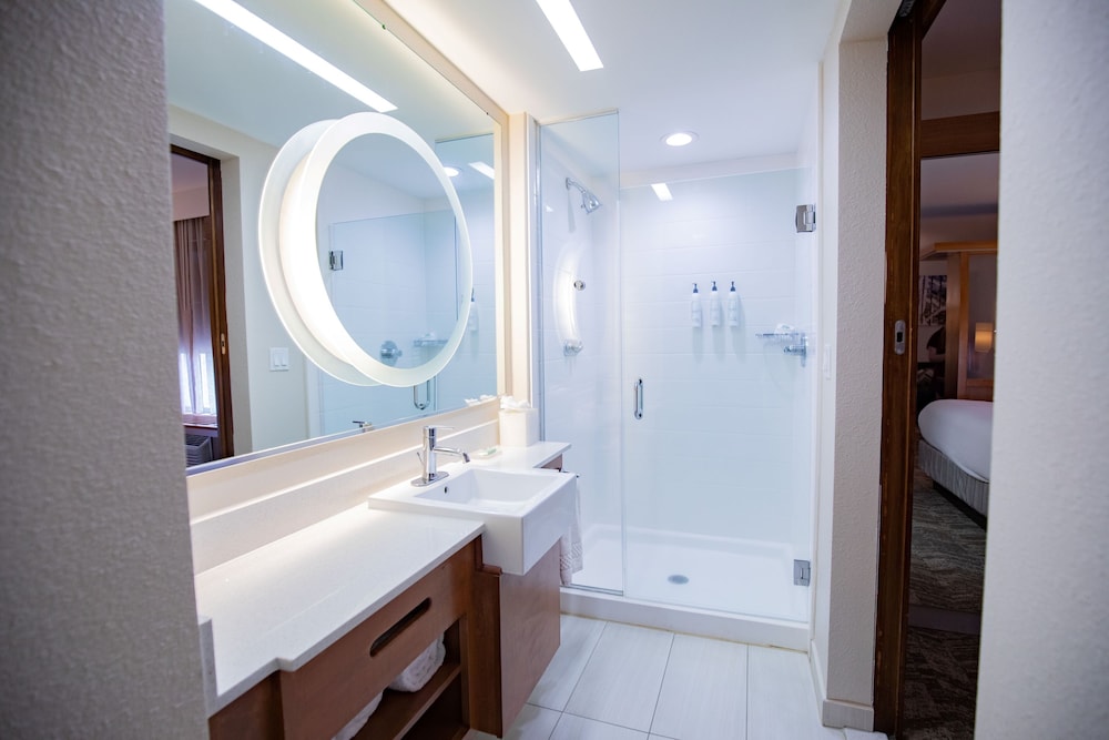 SpringHill Suites by Marriott Baton Rouge Gonzales - photo 25